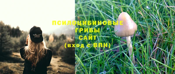 соль курить ск Аркадак
