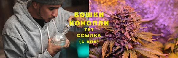 спиды Армянск